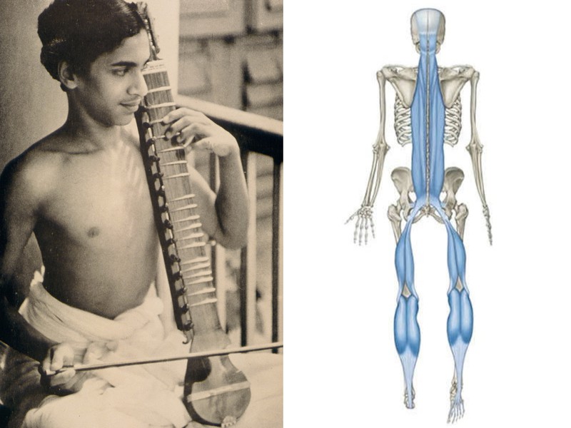 fasica-splash.jpg
