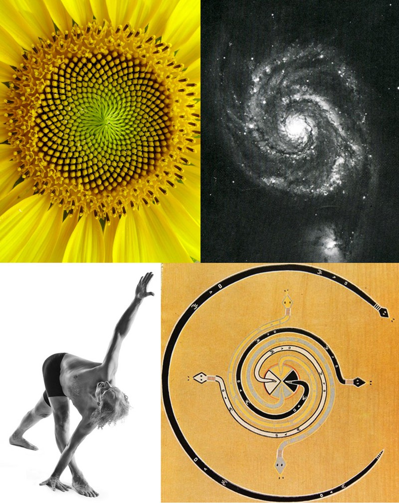 spirals-900.jpg