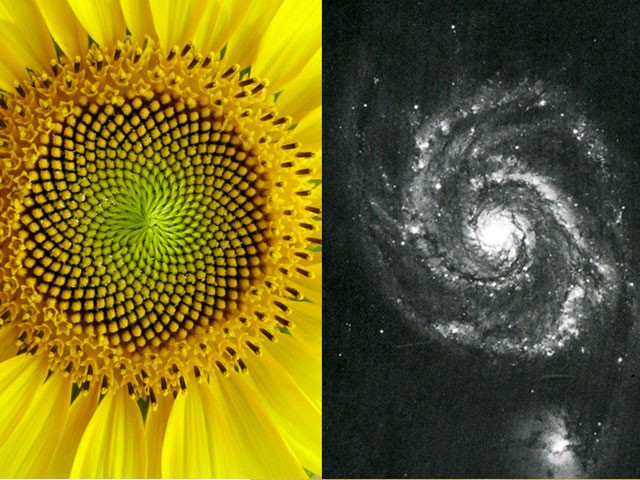 spirals-thumb.jpg